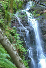 Motiv Wasserfall